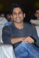 Mr Majnu Movie Pre Release Event Photos